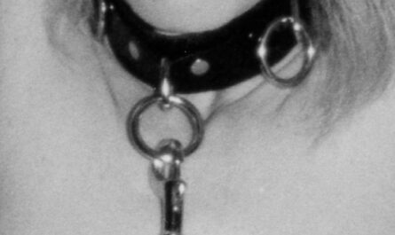 Collar and leash